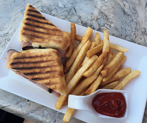 panini sandwich with fries
